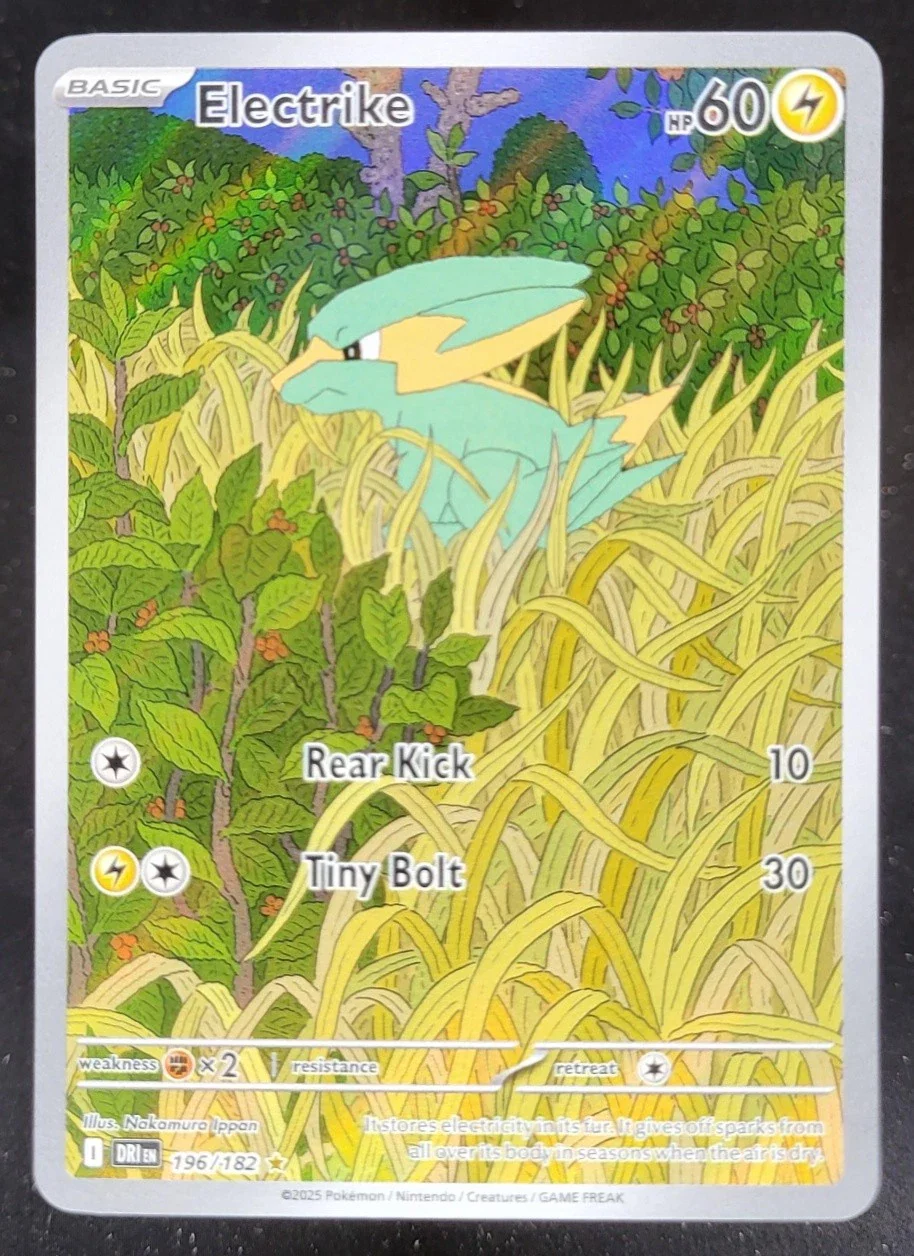 TCG Singles